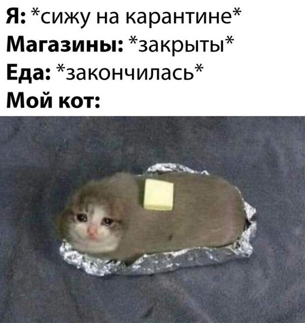Смешные фото утро 19 марта