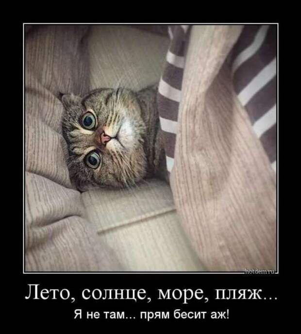Демотиваторы. Подборка chert-poberi-dem-chert-poberi-dem-47020919052020-10 картинка chert-poberi-dem-47020919052020-10