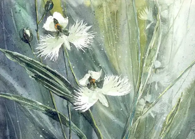       (Malgorzata Szczecinska)