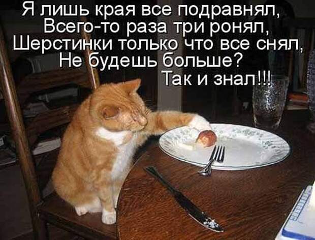 Субботний позитивчик (30 фото)