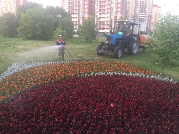 Газоны в Северном начали поливать чаще Фото предоставлено ГБУ «Жилищник»