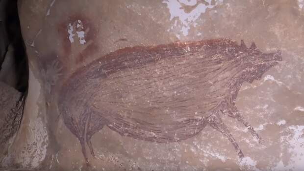 Археологи обнаружили самый древний в мире наскальный рисунок животного