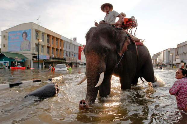 s t16 RTR2SECE Сильнейшее наводнение в Таиланде