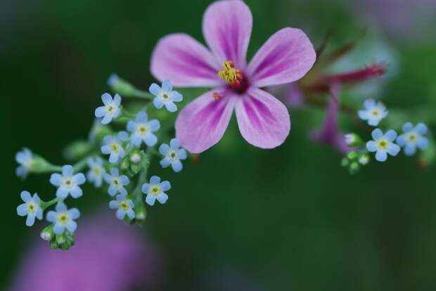 Есть только миг между прошлым и будущем... Есть только миг между прошлым и будущем...