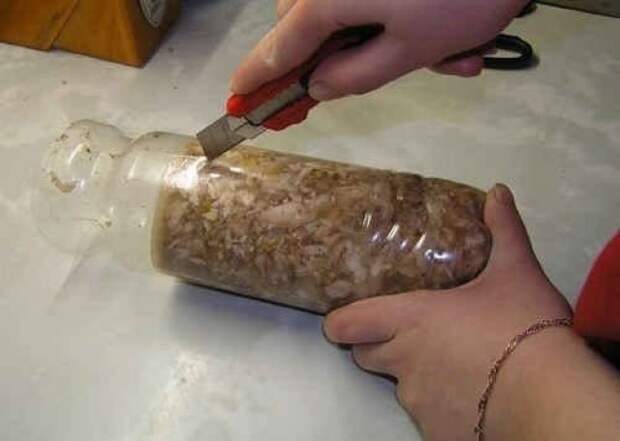 Готовим куриный рулет в домашних условиях