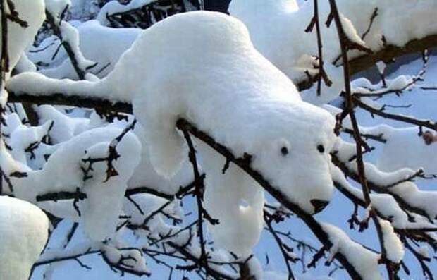17 самых крутых снеговиков этой зимы зима, снеговик