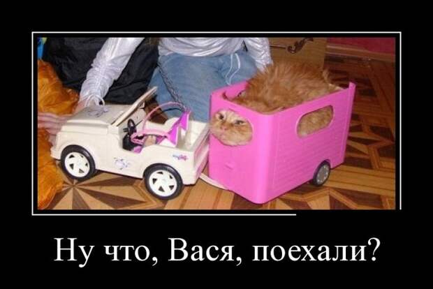 Демотиваторы дня от 01-09-2014