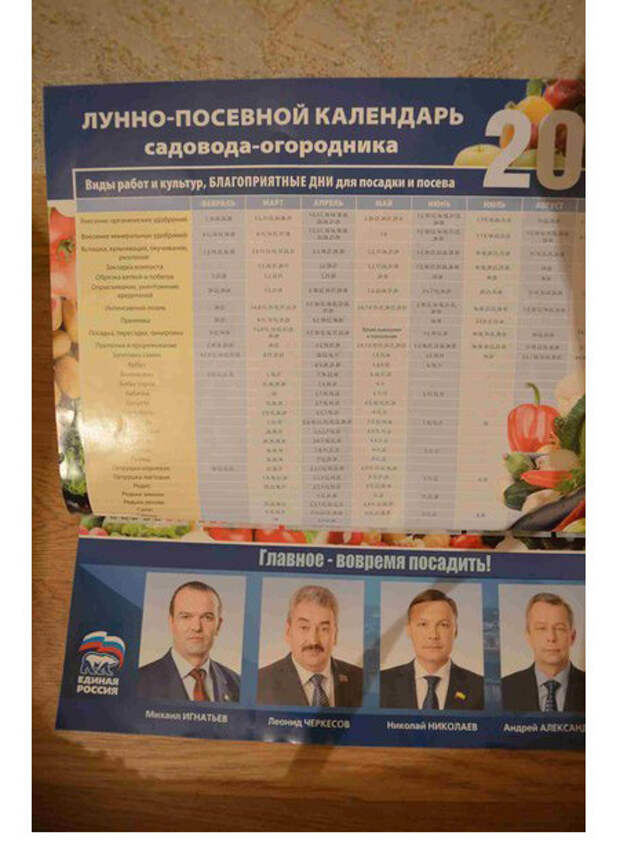 Самоирония - вещь опасная  выборы, прикол, юмор