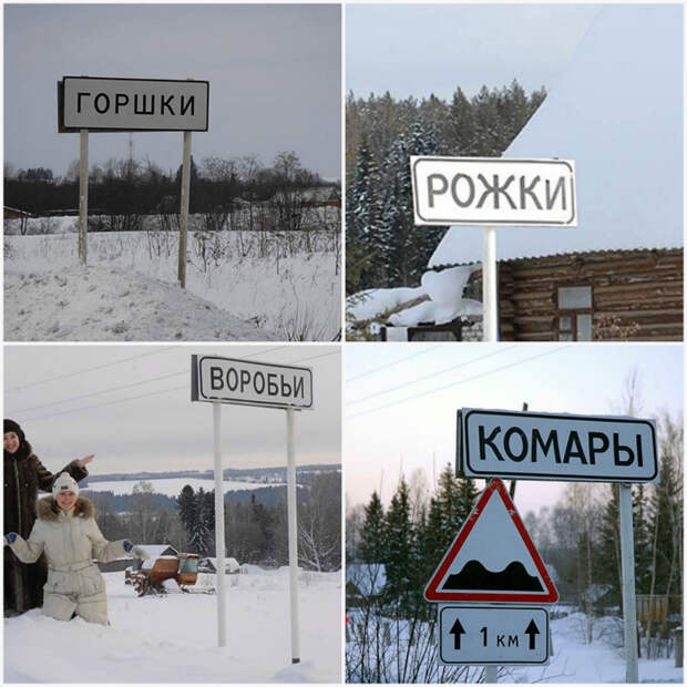 Забавные названия. Забавные названия.