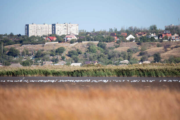 Со стелы на въезде в Бердянск сняли букву "Ь"