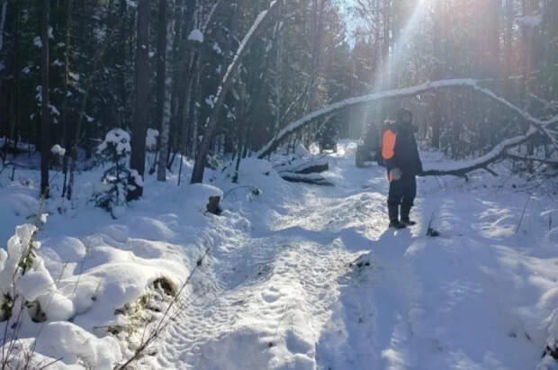 Дикие животные и завалы: волонтер Кулеш побывал на месте пропажи Усольцевых