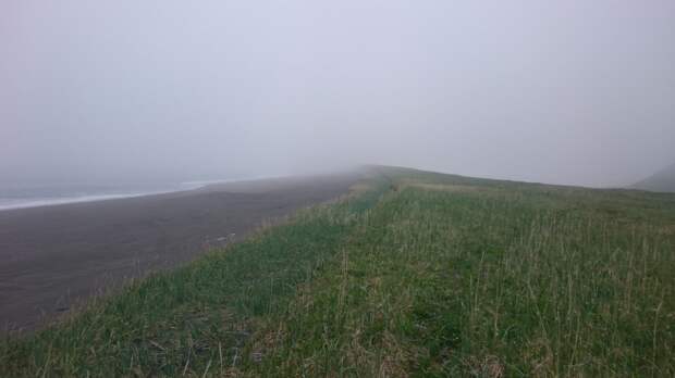 DSC 0754