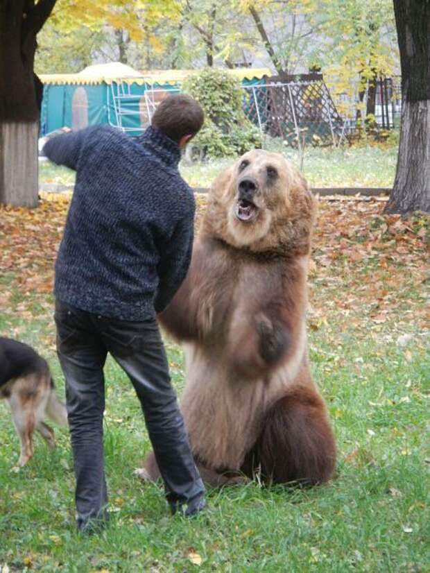 Все в порядке, вы в России!