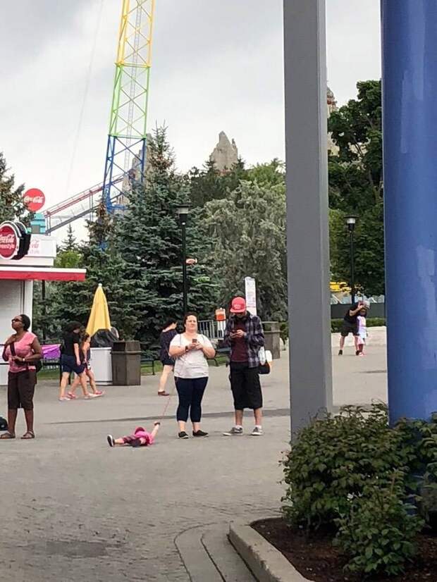 Подборка прикольных картинок