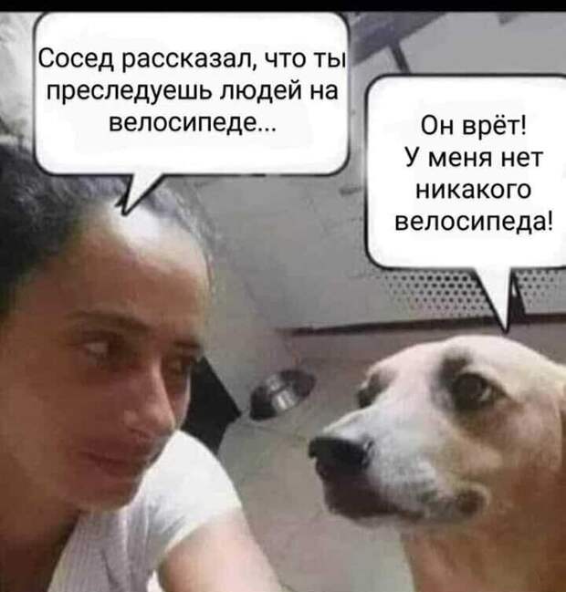 Сосед наврал Сосед наврал