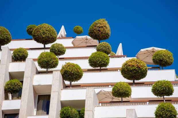 Архитекторы этих домов доказали, что сад можно разбить даже на крыше