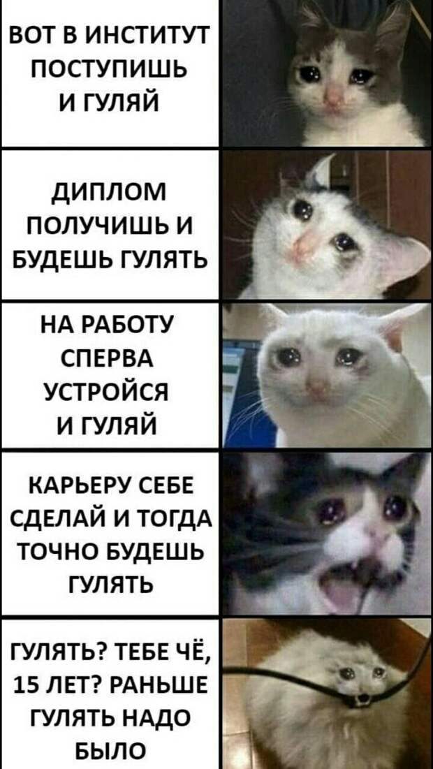 Так и живем Так и живем