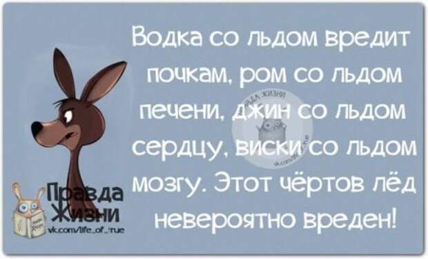 Прикольные "правдивости"