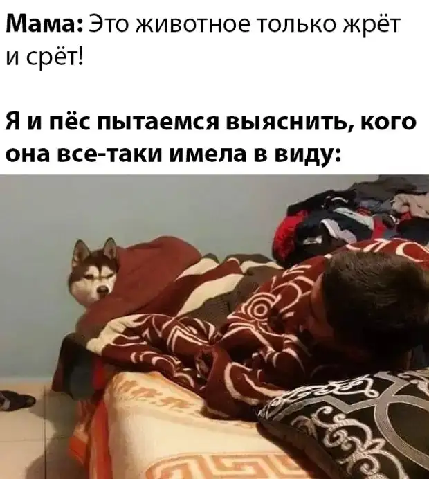 Парень нашел другую что