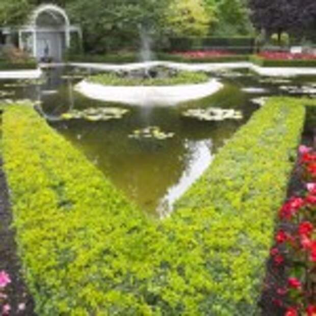 Pond, flower bed and fountain.