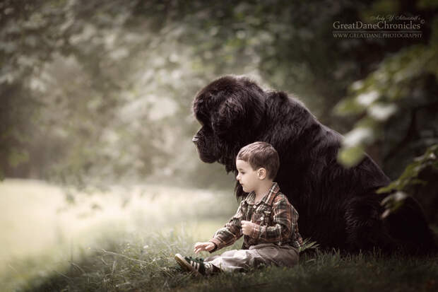 Энди Селиверстов фотографии детей и их больших собаках 19