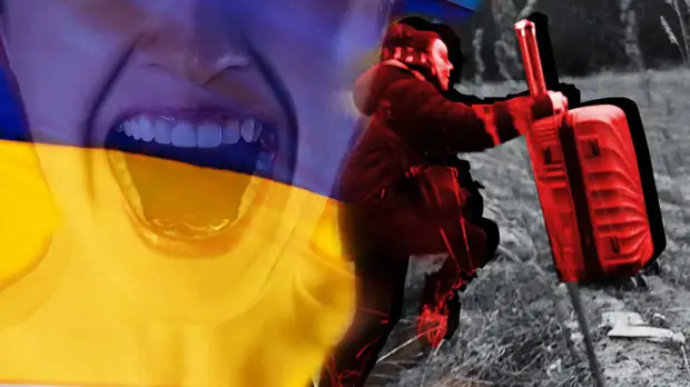 Политолог Сосновский объяснил массовый отток украинских беженцев из Германии