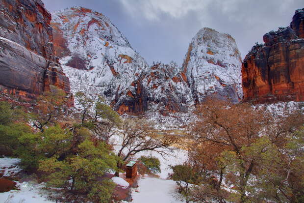NewPix.ru - Фотограф Kevin McNeal - Zion National Park