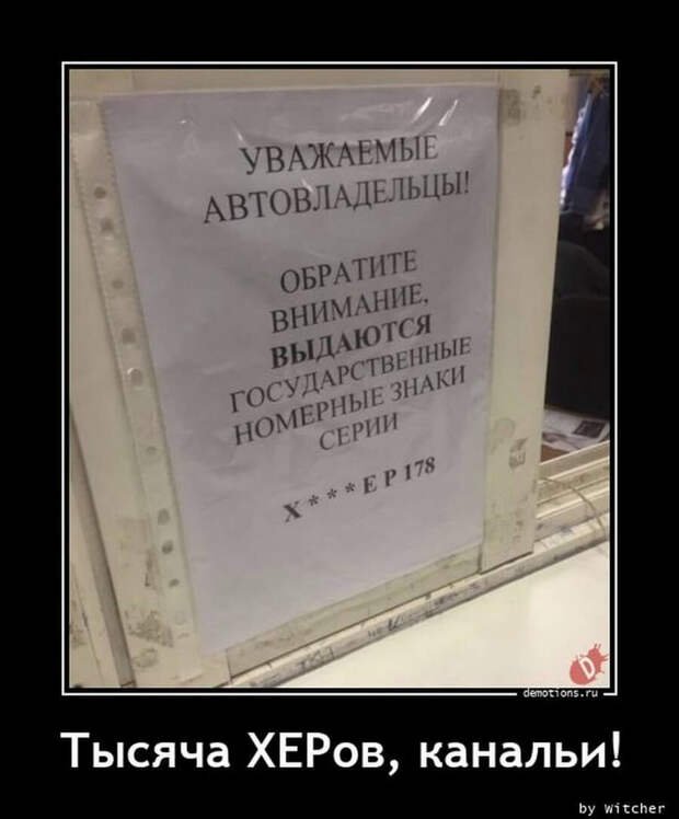 Пятничные демотиваторы: праздники, социум и живность