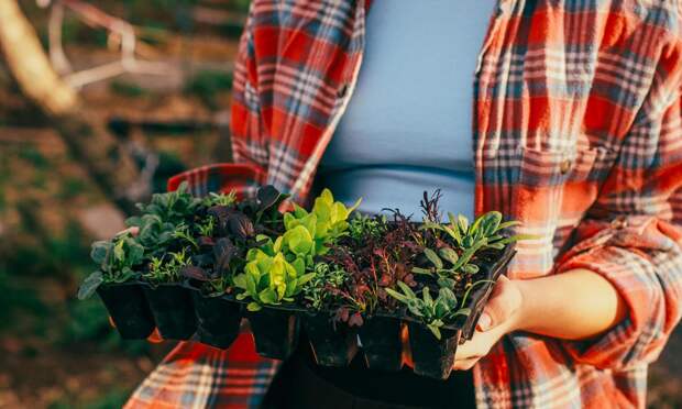Что обязательно нужно сделать на даче в марте: полный список работ