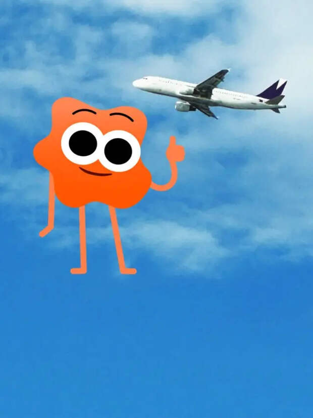 Сколько крыльев у самолета