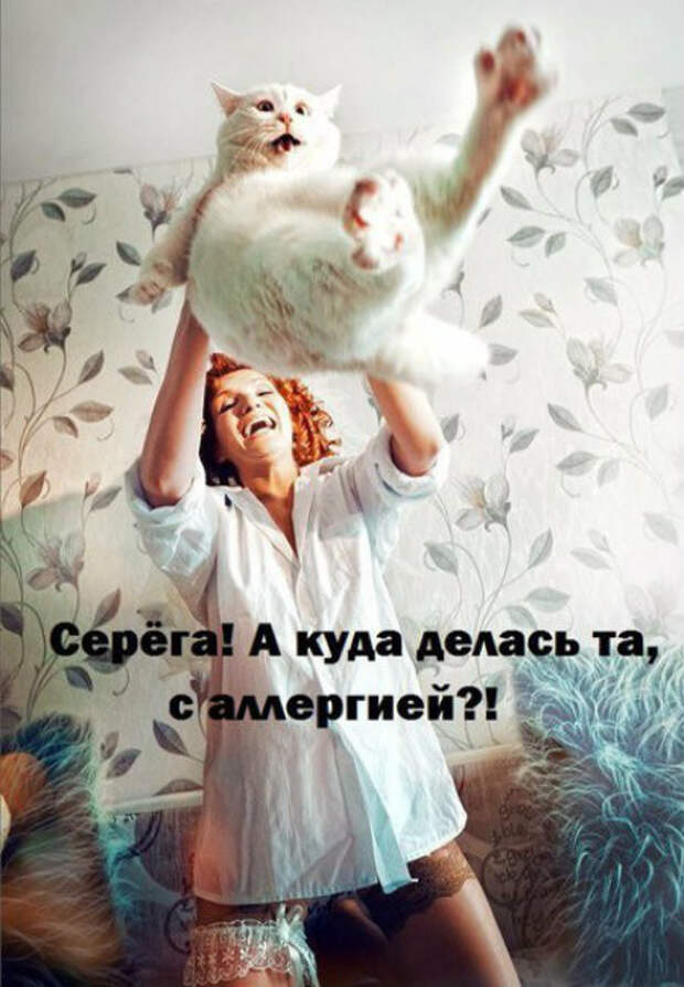 Картинки, юмор, приколы