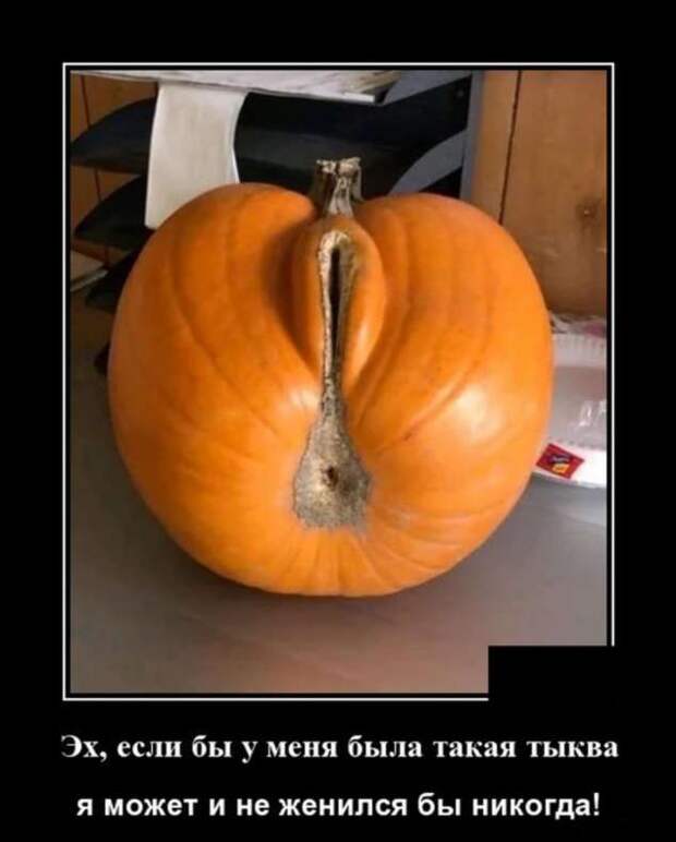 Демотиваторы. Подборка chert-poberi-chert-poberi-04220805052020-4 картинка chert-poberi-04220805052020-4
