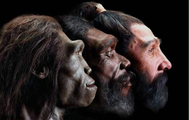 evolution-white-skin