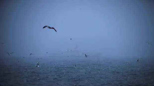 МО Турции принимает меры в связи с данными о дрейфующих минах в Чёрном море