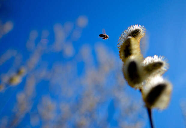 Весна за окном Весна за окном