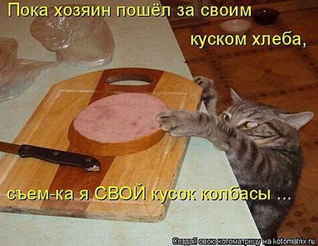 1411716327_kotomatricy-12