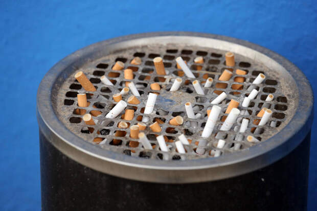 Врач рассказала о поэтапных изменениях в организме после отказа от сигарет