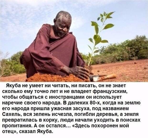Человек, который остановил пустыню Человек, который остановил пустыню