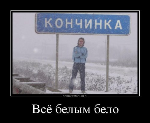 Свежая порция демотиваторов (13 шт)