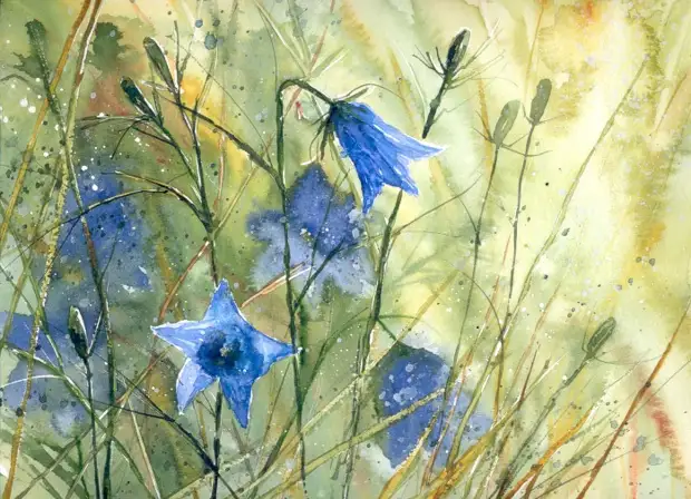       (Malgorzata Szczecinska)