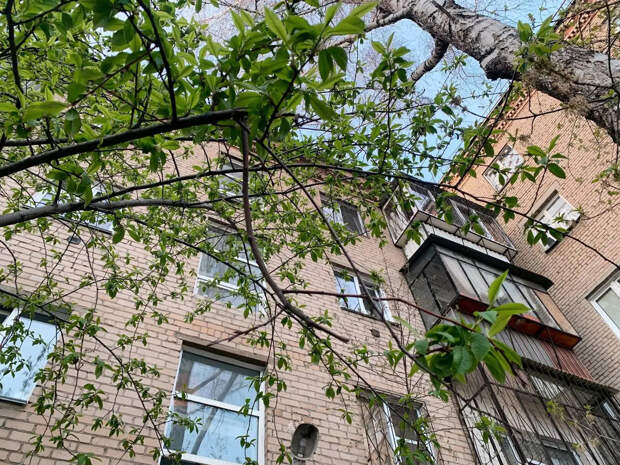 Весна в России может наступить раньше нормы