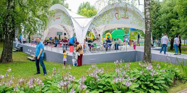 Занятия в рамках проекта «Здоровая Москва» посетили более 150 тыс раз. Фото: mos.ru