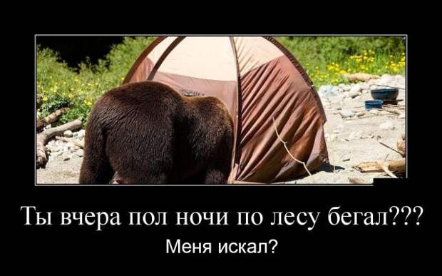 Демотиваторы (30 фото)