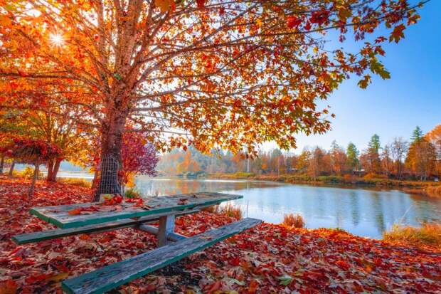 15 фотографий, показываюших, какой фантастически красивой бывает осень