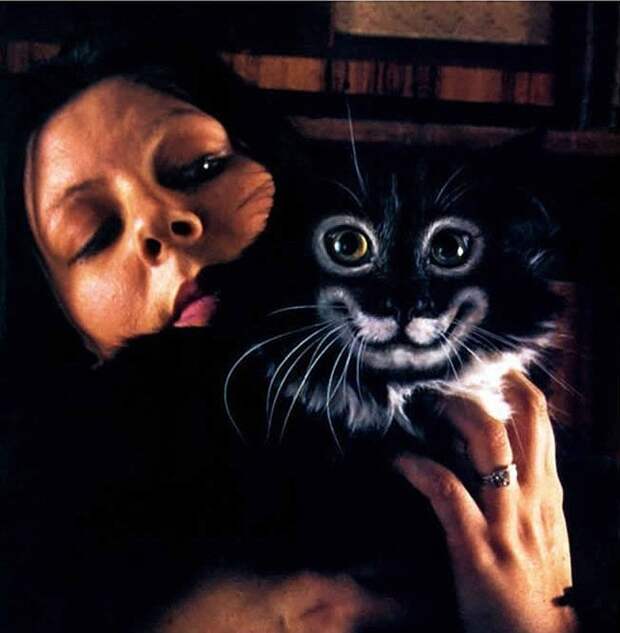 Кэтпейнтинг — это форма искусства или издевательство над животными? catpainting18 Кэтпейнтинг — это форма искусства или издевательство над животными?