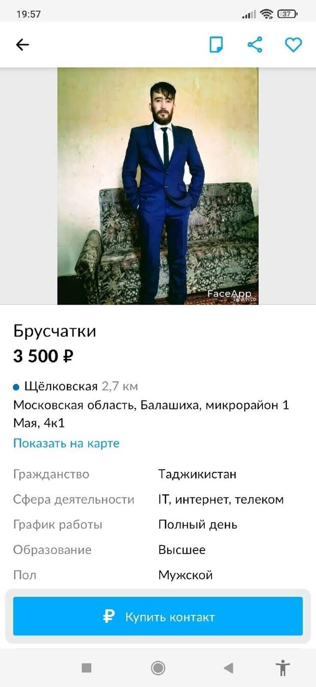 13. Что-то на профессиональном языке 13. Что-то на профессиональном языке