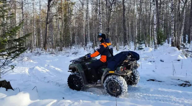 Поисковик Вульферт назвала причину пропажи семьи Усольцевых