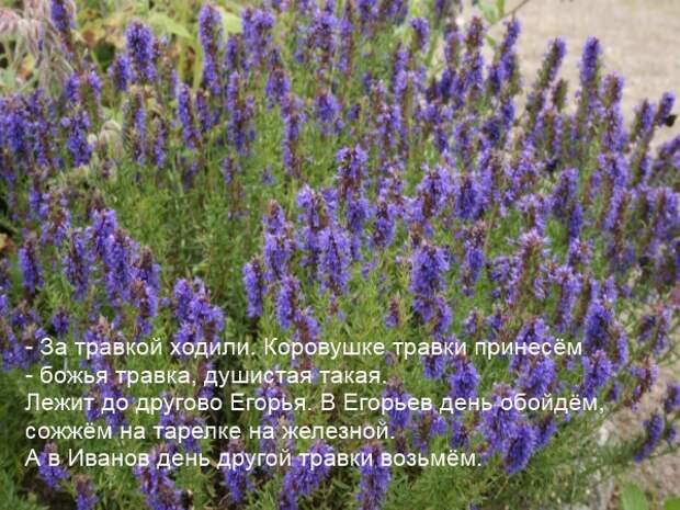 день летнего солнцеворота день летнего солнцеворота