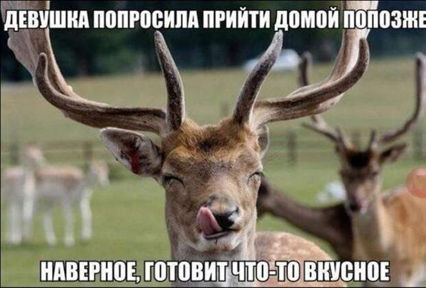 Смешная галерея фотоприколов # 133