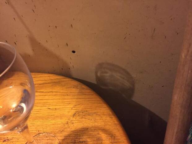 The Shadow From This Wine Glass Looks Like A Sloth